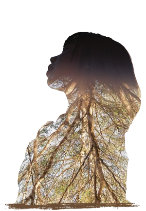34000.png